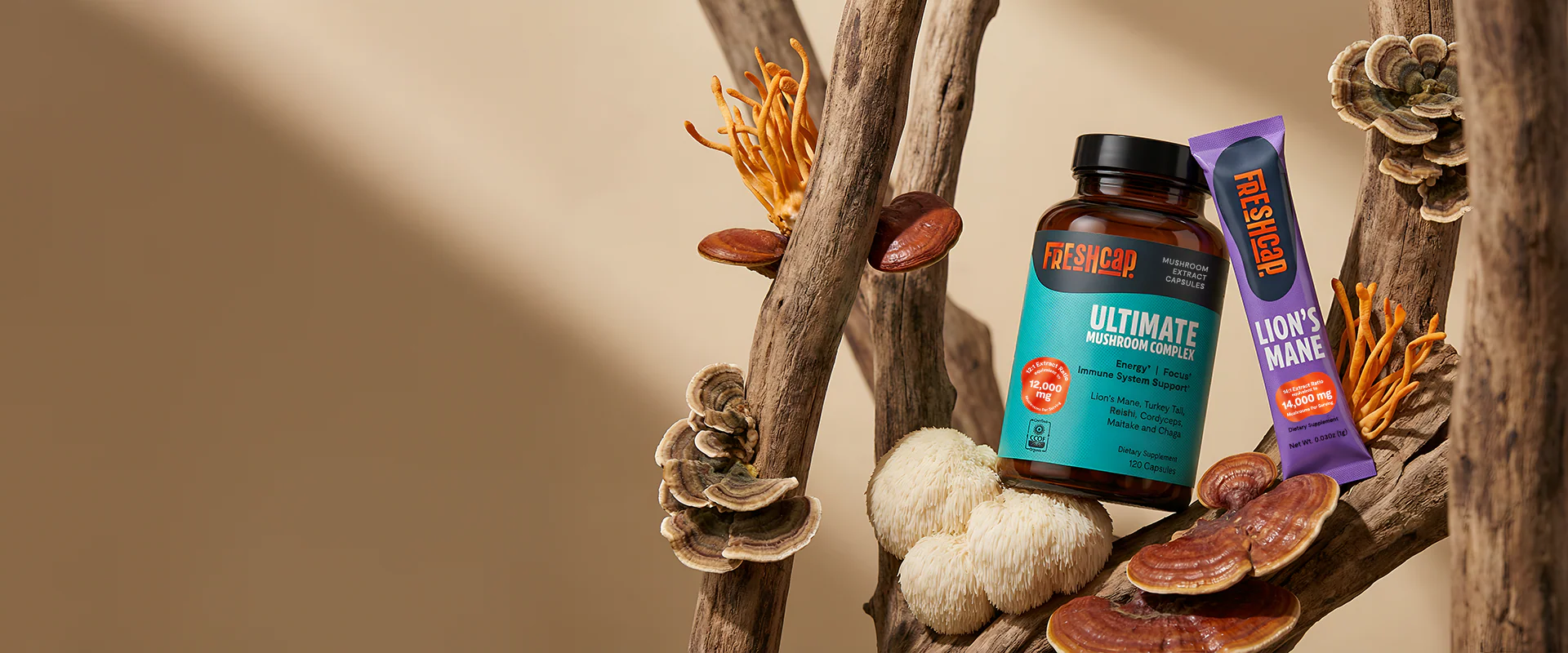 Pure Mushrooms. Unleash Your Potential.